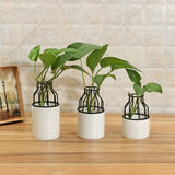 Party,Black,Metal,Ceramic,Flower,Garden,Plant,Succulent,Stand,Holder,Decor