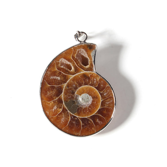 Madagascar,Natural,Druzy,Ammonite,Shell,Gemstone,Pendant,Necklace