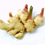 Egrow,100Pcs,Ginger,Seeds,Balcony,Vegetables,Potted,Bonsai,Plant,Seeds,Seasons,Plants