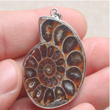 Madagascar,Natural,Druzy,Ammonite,Shell,Gemstone,Pendant,Necklace
