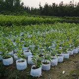 10Pcs,Round,Fabric,Planting,Pouch,Aeration,Container,Seedling