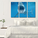 Miico,Painted,Three,Combination,Decorative,Paintings,White,Shark,Decoration