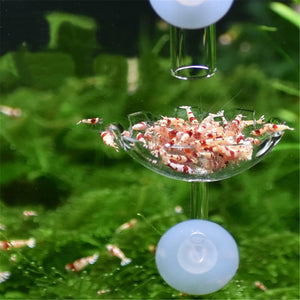 Aquarium,Shrimp,Feeder,Glass,Feeding,Suction,Feeder
