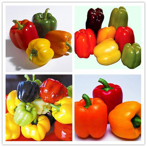 Egrow,Mixed,Yellow,Green,Pepper,Seeds,Colorful,Sweet,Pepper,Seeds,Peppers