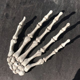 Skeleton,Skull,Mischievous,Halloween,Carnival,Accessory,Decorations