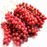 Egrow,Schisandra,Seeds,Chinese,Magnolia,Edible,Garden,Fruit,Plants