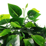 Green,Plant,Simulation,Plant,Decoration,Living,Interior,Background