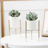 Ceramic,Flower,Plant,Succulent,Indoor,Garden,Display,Stand,Planter,Holder,Decor