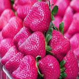 Egrow,500Pcs,Strawberry,Seeds,Garden,Planting,Sweet,Fruit,Seeds