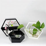 Handmade,Acrylic,Chlorophytum,Flower,Scindapsus,Hexagon,Hanging,Decoration