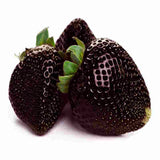 Egrow,Black,Strawberry,Seeds,Fresh,Exotic,Tasty,Fruit,Potted,Garden,Bonsai,Plant