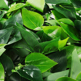 Green,Plant,Simulation,Plant,Decoration,Living,Interior,Background