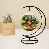 Micro,Landscape,Shape,Holder,Suspension,Glass,Black