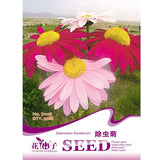 20pcs,Garden,Planting,Chrysanthemum,Cinerariifolium,Seeds