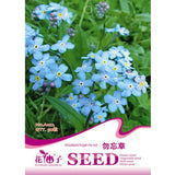 50pcs,Myosotis,Sylvatica,Grass,Seeds,Green,Garden,Plant
