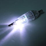 Fishing,Squid,Light,Flashing