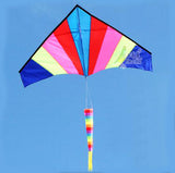 Outdoor,Multicolor,Nylon,Triangle,Flying