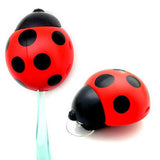 Creative,Covered,Coccinella,Suction,Toothbrush,Holder