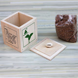 Wooden,Bonsai,Magic,Desktop,Bonsai,Plants