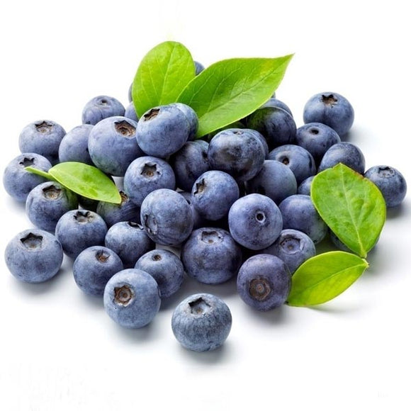 Egrow,30Pcs,Blueberry,Seeds,Garden,Edible,Fruit,Bonsai,Plant,Indoor,Outdoor,Delicious,Plant