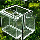 Breeder,Aquarium