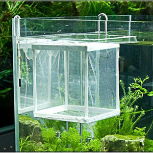 Breeder,Aquarium