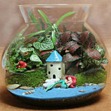 Bottle,Decorations,Resin,House,Castle,Garden,Micro,Landscape