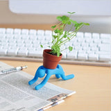 Interest,Changed,Potted,Plants,Office,Plant
