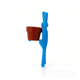 Interest,Changed,Potted,Plants,Office,Plant