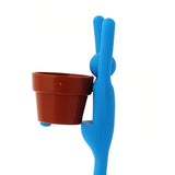 Interest,Changed,Potted,Plants,Office,Plant