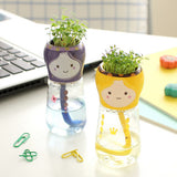 Water,Absorption,Potted,Plant,Desktop,Office,Decor