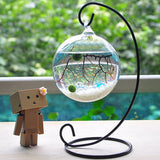 Micro,Landscape,Suspension,Garden,Decor