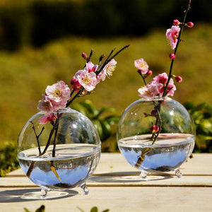 Hydroponic,Plants,Hanging,Shape,Glass,Garden,Decor