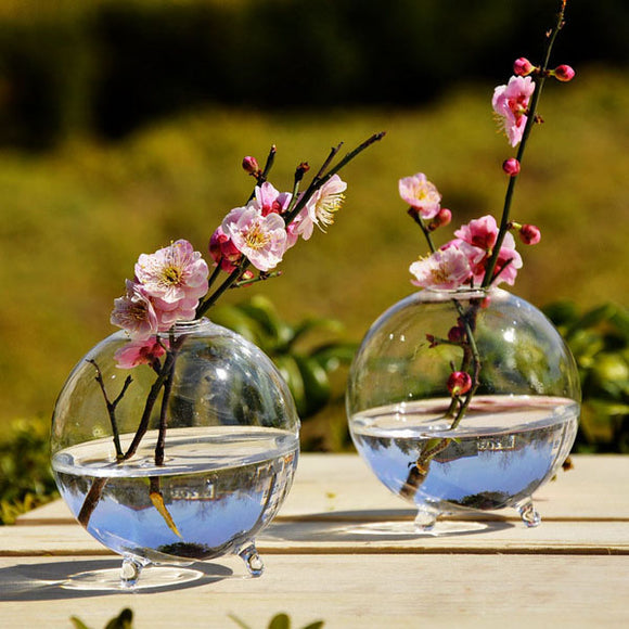 Hydroponic,Plants,Hanging,Shape,Glass,Garden,Decor