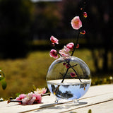 Hydroponic,Plants,Hanging,Shape,Glass,Garden,Decor