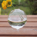 Hydroponic,Plants,Hanging,Shape,Glass,Garden,Decor