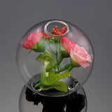 Hydroponic,Plants,Hanging,Shape,Glass,Garden,Decor