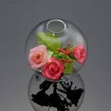 Hydroponic,Plants,Hanging,Shape,Glass,Garden,Decor