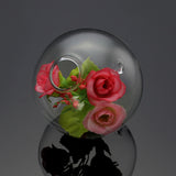 Hydroponic,Plants,Hanging,Shape,Glass,Garden,Decor