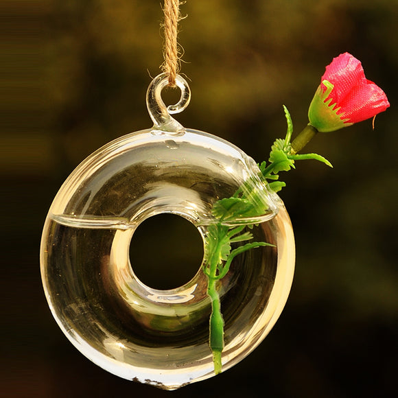 Round,Hanging,Flower,Hydroponic,Plants,Glass,Decor