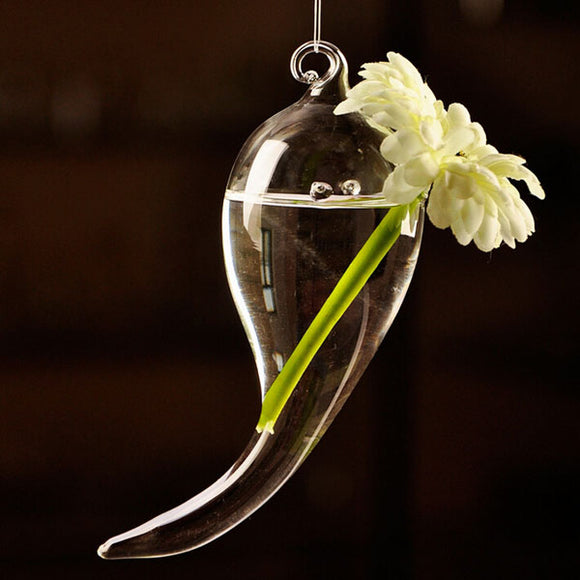Hanging,Symbol,Shape,Flower,Glass,Hydroponic,Plants,Container
