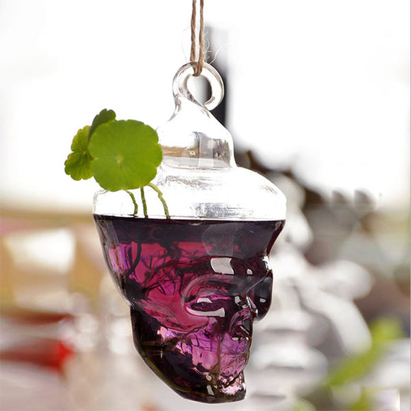 Hydroponic,Plants,Garden,Flower,Skull,Shape,Hanging,Glass