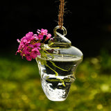 Hydroponic,Plants,Garden,Flower,Skull,Shape,Hanging,Glass