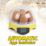 Automatic,Incubator,Incubation,Equipment,Household,Teaching,Experiments