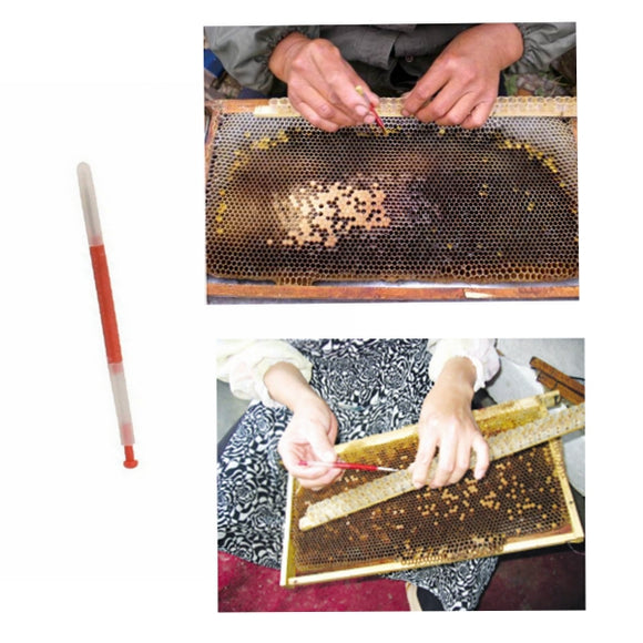 Beekeeping,Tools,BeekeepersGraftingTools,Retractable,Beekeeper,Needle,Grafting