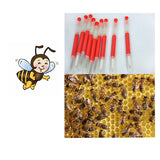 Beekeeping,Tools,BeekeepersGraftingTools,Retractable,Beekeeper,Needle,Grafting