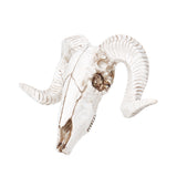 Hanging,Resin,Skull,Ornament,Sheep,Animal,Sculpture,Decorations