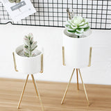 Tripod,Plant,Stand,Flower,Succulent,Display,Holder,Decor