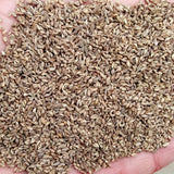 Egrow,Grass,Seeds,Forage,Seeds,Grass,Seeds,Garden,Plants