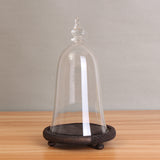 Glass,Display,Cloche,Wooden,Inspired,Beauty,Beast